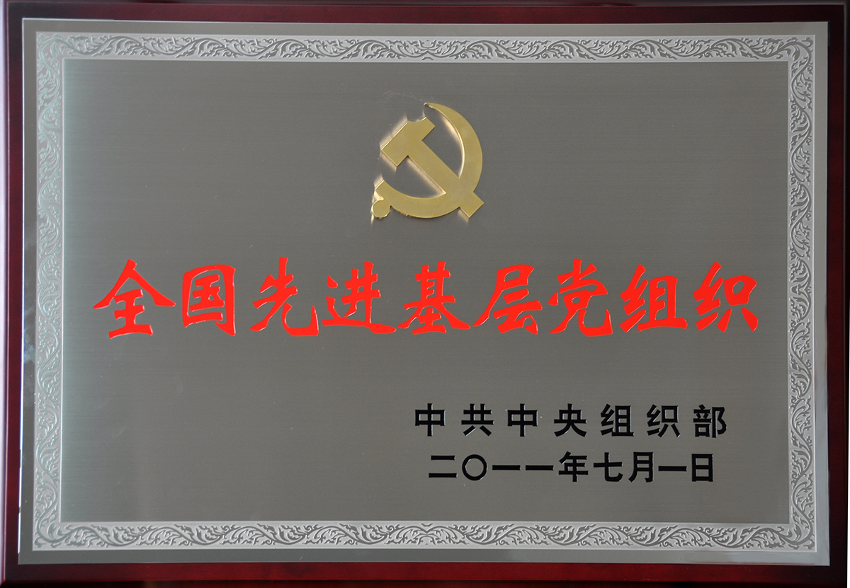 2011年7月，紅豆集團黨委榮獲“全國先進基層黨組織”稱號